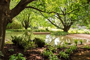 Tumber & Associates Ltd photo 3