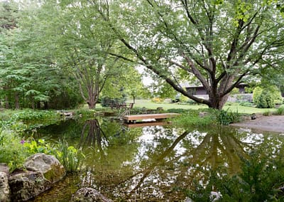 Natural Swim Ponds design and built by Tumber & Associates