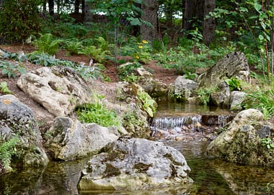 Natural Swim Ponds design and built by Tumber & Associates