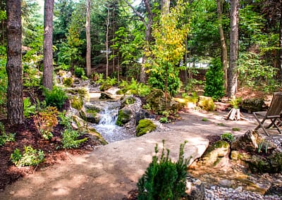 Natural Swim Pond Landscape Design by Tumber & Associates in Orangeville