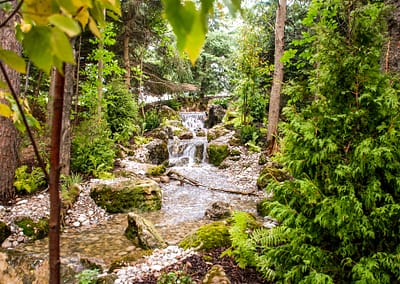 Natural Swim Pond Landscape Design by Tumber & Associates in Orangeville