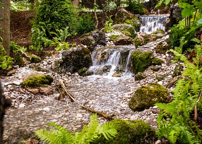 Natural Swim Pond Landscape Design by Tumber & Associates in Orangeville