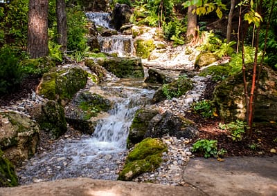 Natural Swim Pond Landscape Design by Tumber & Associates in Orangeville