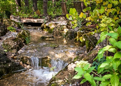 Natural Swim Pond Landscape Design by Tumber & Associates in Orangeville