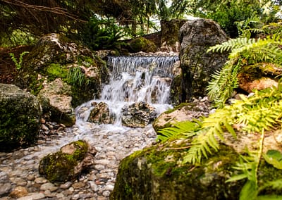 Natural Swim Pond Landscape Design by Tumber & Associates in Orangeville