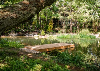 Natural Swim Pond Landscape Design by Tumber & Associates in Orangeville