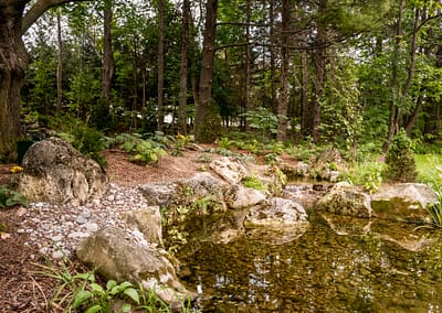 Natural Swim Pond Landscape Design by Tumber & Associates in Orangeville