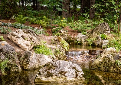 Natural Swim Pond Landscape Design by Tumber & Associates in Orangeville