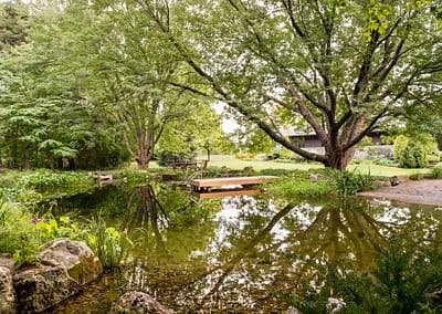 Natural Swim Pond Landscape Design by Tumber & Associates in Orangeville