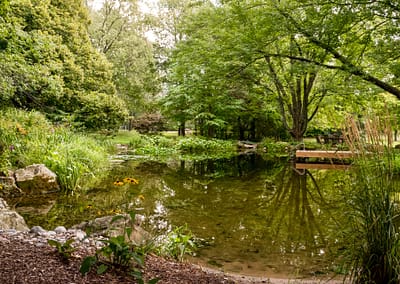 Natural Swim Pond Landscape Design by Tumber & Associates in Orangeville