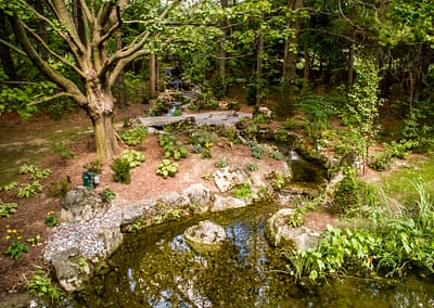 Natural Swim Pond Landscape Design by Tumber & Associates in Orangeville